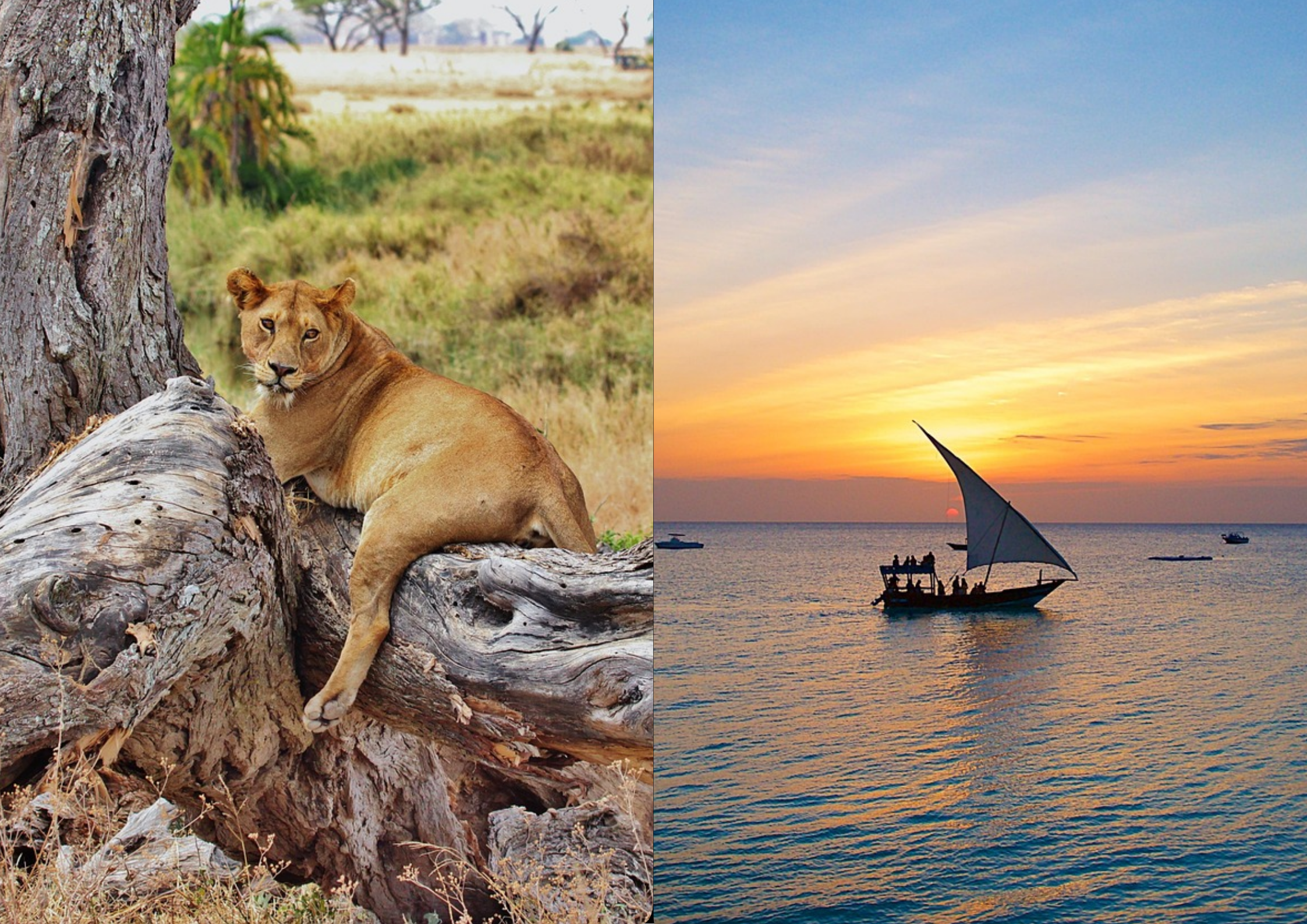 15 Days Safari & Zanzibar